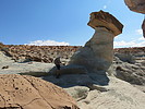 photo thumbnail #12