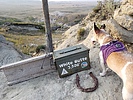 photo thumbnail #7