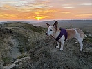 photo thumbnail #15