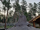 photo thumbnail #3