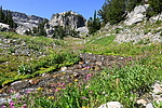 photo thumbnail #10