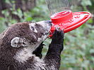 photo thumbnail #8