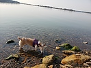 photo thumbnail #8