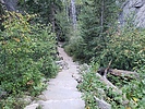 photo thumbnail #10