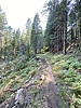 photo thumbnail #13