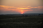 photo thumbnail #14