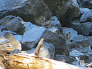 photo thumbnail #7