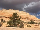 photo thumbnail #10