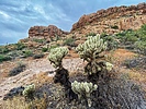 photo thumbnail #13