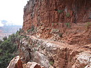 photo thumbnail #10