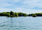 photo thumbnail #14