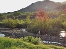 photo thumbnail #9