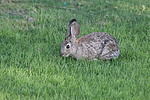 photo thumbnail #15