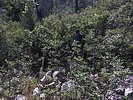 photo thumbnail #14
