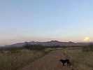 photo thumbnail #4