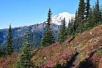 photo thumbnail #9