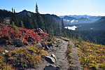 photo thumbnail #10