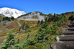 photo thumbnail #12