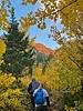 photo thumbnail #5