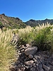 photo thumbnail #15