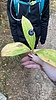 photo thumbnail #15