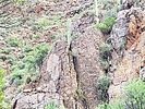 photo thumbnail #5