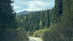 photo thumbnail #12