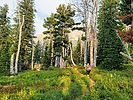 photo thumbnail #2