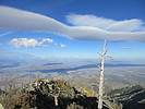 photo thumbnail #10