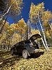 photo thumbnail #14