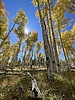 photo thumbnail #15