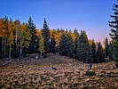 photo thumbnail #8