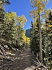 photo thumbnail #8