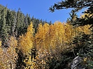 photo thumbnail #13