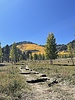 photo thumbnail #14