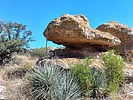 photo thumbnail #2