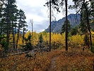photo thumbnail #8