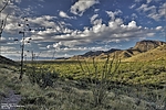 photo thumbnail #5