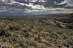 photo thumbnail #8
