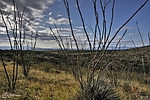photo thumbnail #10