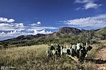 photo thumbnail #12