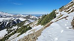 photo thumbnail #2