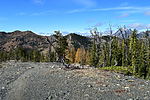 photo thumbnail #10