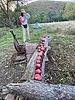 photo thumbnail #5