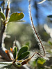 photo thumbnail #8