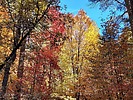 photo thumbnail #9