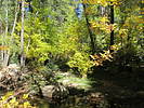 photo thumbnail #7