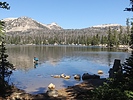 photo thumbnail #13