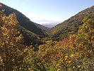 photo thumbnail #12