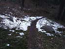 photo thumbnail #5